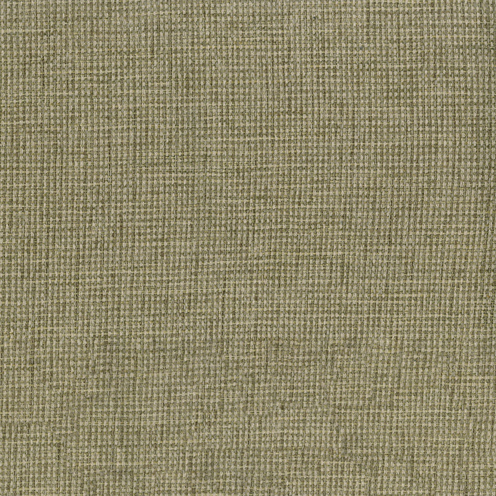Carson 205 Sawgrass by ABBEYSHEA Designer Fabric 100% Polyester CN 45,000 Double Rubs (Wyzenbeek) </p><p>Repeat: Horizontal: and Vertical: 57 in. (145 cm) - Swanky Fabrics -