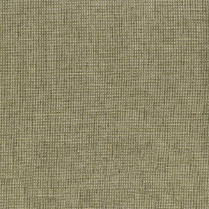 Carson 205 Sawgrass by ABBEYSHEA Designer Fabric
