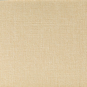 Caslin Linen by Kravet Contract Designer Fabric