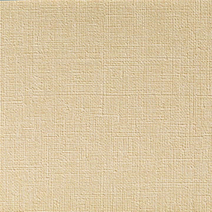 Caslin Linen by Kravet Contract Designer Fabric FOUNDATIONS / VALUE PVC - ARTIFICIAL LEATHER - 100% China HEAVY Horizontal: 0 and Vertical: 0 54 - Swanky Fabrics -