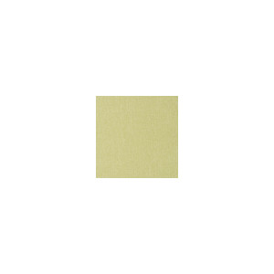 Caslin Meadow by Kravet Contract Designer Fabric