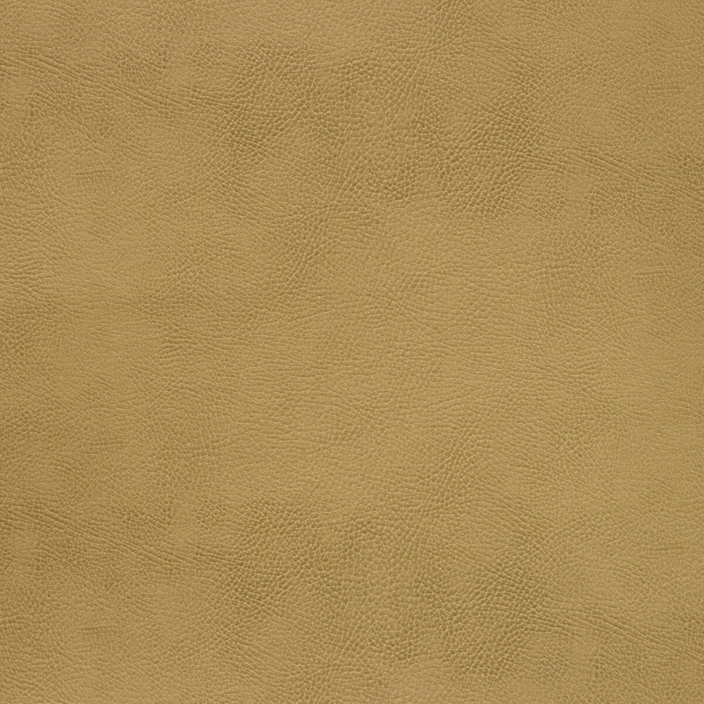 Caswell-4 by Kravet Design Designer Fabric POLYESTER - 55%;POLYURETHANE - 45% Korea, Republic of HEAVY Horizontal: 0 and Vertical: 0 54 - Swanky Fabrics -
