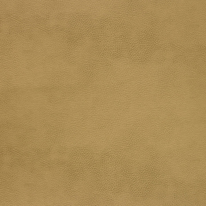 Caswell-4 by Kravet Design Designer Fabric POLYESTER - 55%;POLYURETHANE - 45% Korea, Republic of HEAVY Horizontal: 0 and Vertical: 0 54 - Swanky Fabrics -