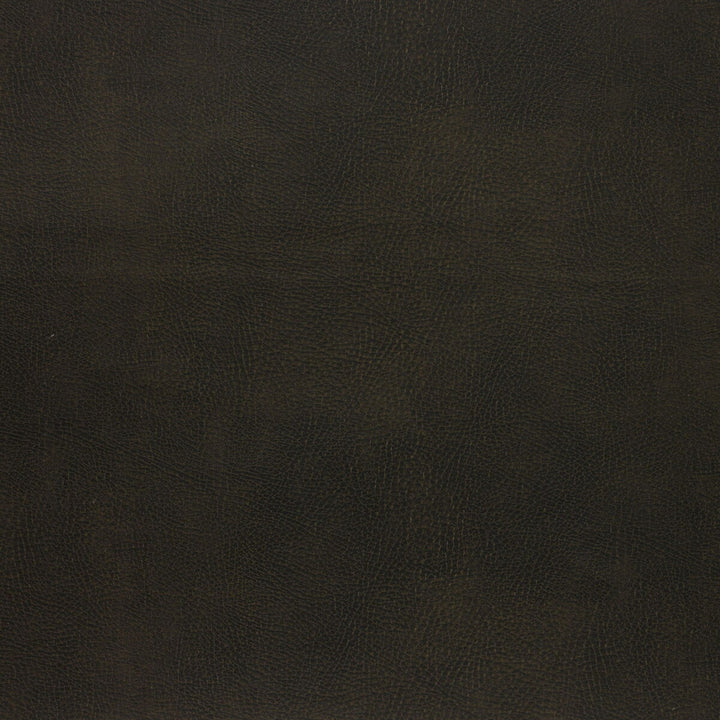 Caswell-66 by Kravet Design Designer Fabric POLYESTER - 55%;POLYURETHANE - 45% Korea, Republic of HEAVY Horizontal: 0 and Vertical: 0 54 - Swanky Fabrics -
