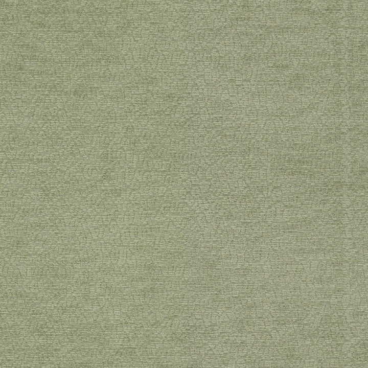 Cavalier 1 Balsam by Stout Designer Fabric RAINBOW LIBRARY SAGE/CYPRESS 100%POL CHINA WYZENBEEK 25 000 DOUBLE RUB WEAR TEST (HEAVY DUTY) Horizontal: 6.750 and Vertical: 6.750 55 in - Swanky Fabrics -