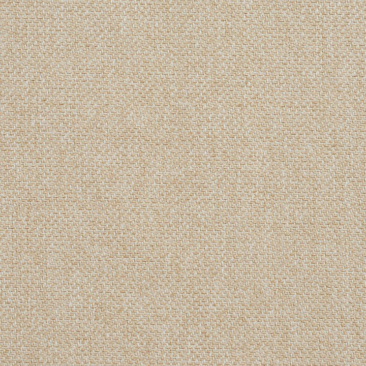 CB600-02 by Charlotte Designer Fabric Ecru 100% Woven Polyester Asia Exceeds 150,000 Wyzenbeek Rubs (Heavy Duty) No Repeat 54 Inches - Swanky Fabrics -
