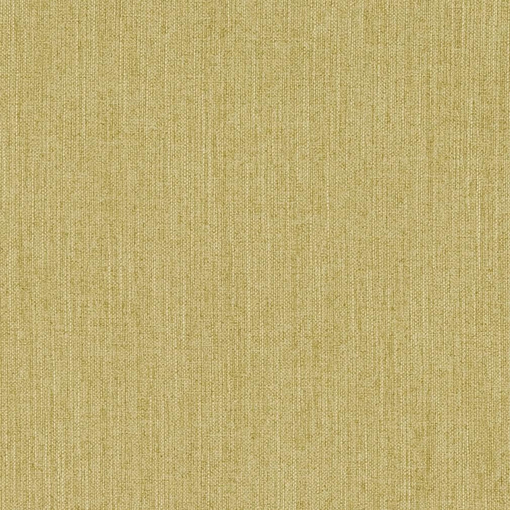 CB600-110 by Charlotte Designer Fabric Shades of Spring 100% Woven Polyester Asia Exceeds 120,000 Wyzenbeek Rubs (Heavy Duty) </p><p>Repeat: No Repeat 54 Inches - Swanky Fabrics -