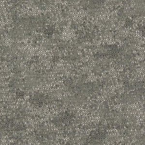 CB600-126 by Charlotte Designer Fabric