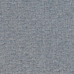 CB600-142 by Charlotte Designer Fabric