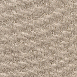 CB600-151 by Charlotte Designer Fabric