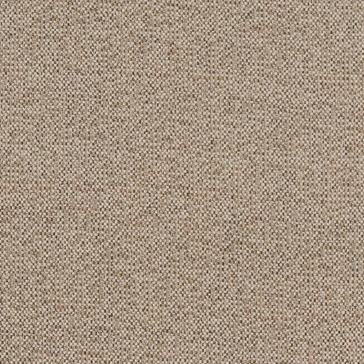 CB600-152 by Charlotte Designer Fabric Shades of Neutral 100% Woven Polyester China Exceeds 120,000 Wyzenbeek Rubs (Heavy Duty) No Repeat 54 Inches - Swanky Fabrics -