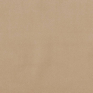 CB600-156 by Charlotte Designer Fabric