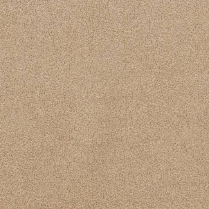CB600-156 by Charlotte Designer Fabric Shades of Neutral 100% Woven Polyester Asia Exceeds 190,000 Wyzenbeek Rubs (Heavy Duty) </p><p>Repeat: 54 Inches - Swanky Fabrics -
