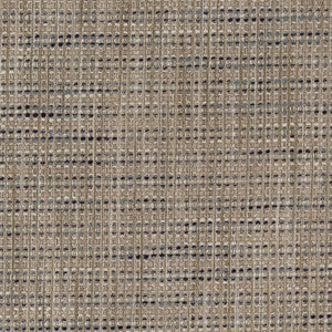 CB600-184 by Charlotte Designer Fabric