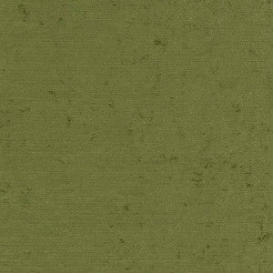 CB600-186 by Charlotte Designer Fabric