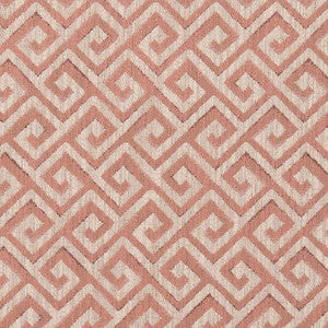 CB600-211 by Charlotte Designer Fabric