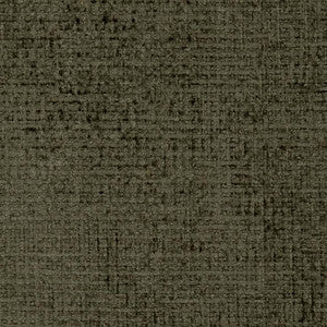 CB600-223 by Charlotte Designer Fabric