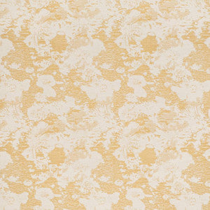 CB600-268 by Charlotte Designer Fabric