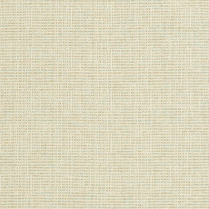 CB600-67 by Charlotte Designer Fabric