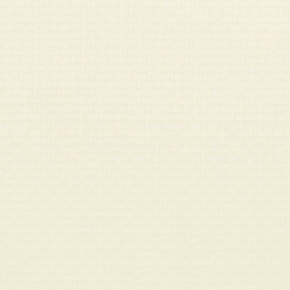 CB600-85 by Charlotte Designer Fabric Black & White 100% Woven Polyester Asia Exceeds 100,000 Wyzenbeek Rubs (Heavy Duty) </p><p>Repeat: No Repeat 54 Inches - Swanky Fabrics -