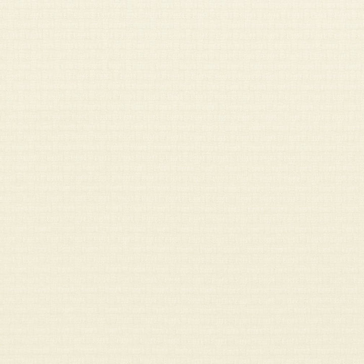CB600-85 by Charlotte Designer Fabric Black & White 100% Woven Polyester Asia Exceeds 100,000 Wyzenbeek Rubs (Heavy Duty) </p><p>Repeat: 54 Inches - Swanky Fabrics -