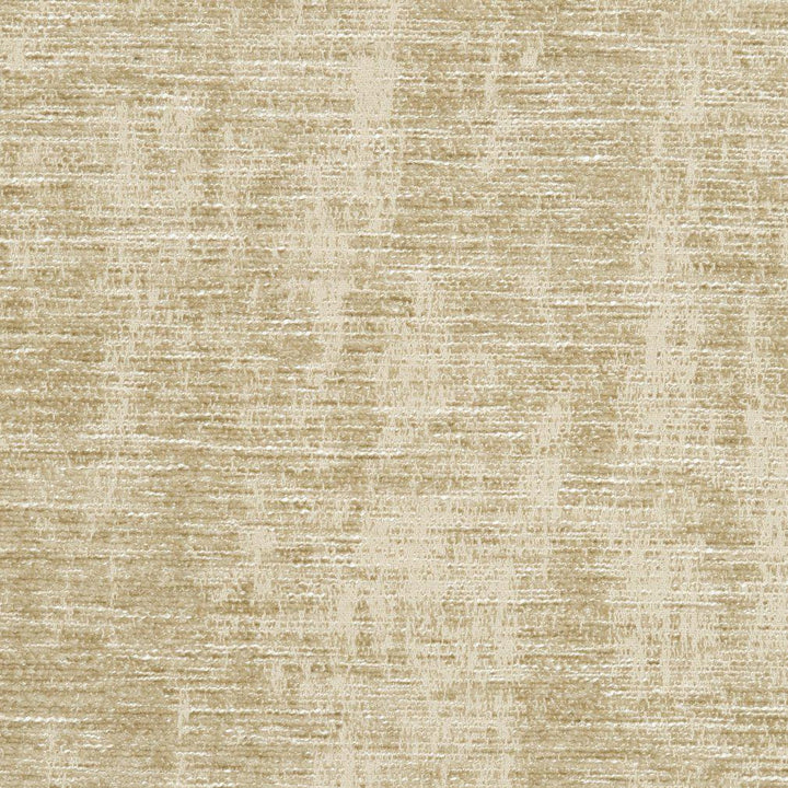 CB700-02 by Charlotte Designer Fabric Taupe 100% Woven Polyester Asia Exceeds 60,000 Wyzenbeek Rubs (Heavy Duty) No Repeat 54 Inches - Swanky Fabrics -