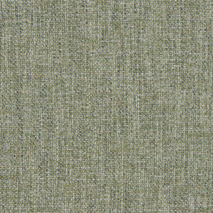 CB700-187 by Charlotte Designer Fabric