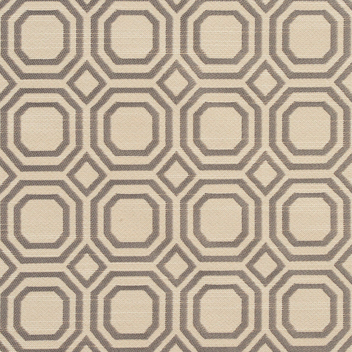 CB700-19 by Charlotte Designer Fabric Grey 100% Woven Polyester Asia Exceeds 50,000 Wyzenbeek Rubs (Heavy Duty) Horizontal: 2.25" x Vertical: 2.25" 54 Inches - Swanky Fabrics -