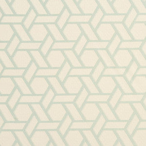 CB700-206 by Charlotte Designer Fabric