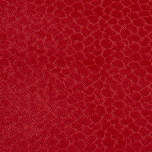 CB700-228 by Charlotte Designer Fabric