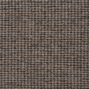 CB700-238 by Charlotte Designer Fabric