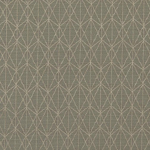CB700-297 by Charlotte Designer Fabric