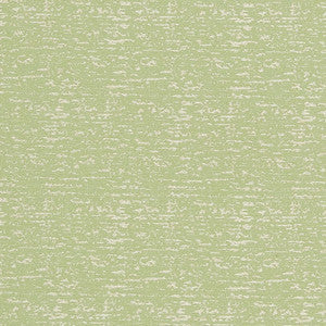 CB700-300 by Charlotte Designer Fabric
