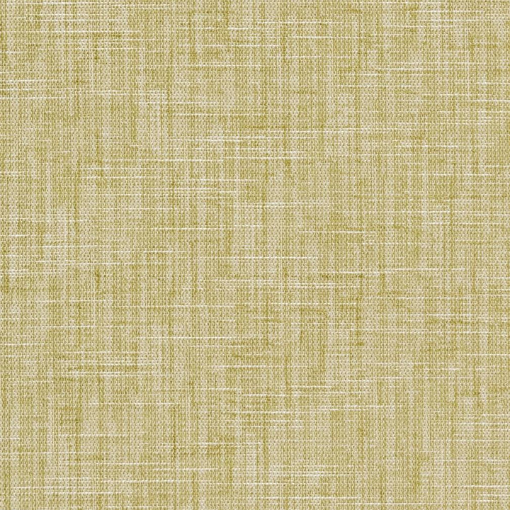 CB700-302 by Charlotte Designer Fabric Shades of Spring 100% Woven Polyester Asia Exceeds 100,000 Wyzenbeek Rubs (Heavy Duty) No Repeat 54 Inches - Swanky Fabrics -