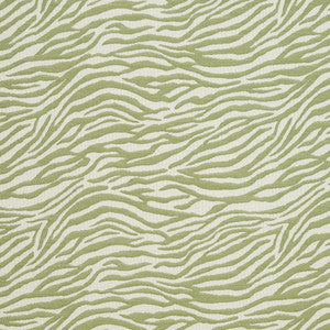 CB700-305 by Charlotte Designer Fabric
