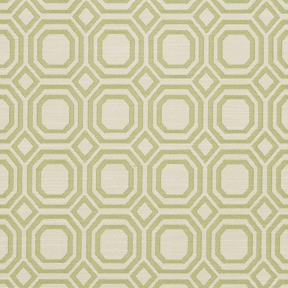 CB700-307 by Charlotte Designer Fabric Shades of Spring 100% Woven Polyester Asia Exceeds 50,000 Wyzenbeek Rubs (Heavy Duty) Horizontal 2.25" x Vertical 2.25" 54 Inches - Swanky Fabrics -