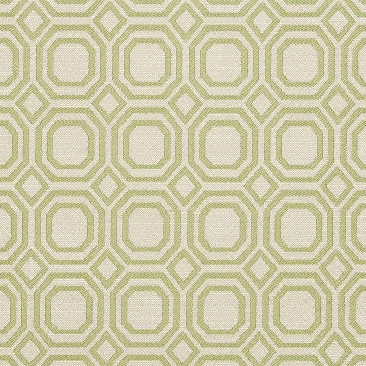 CB700-307 by Charlotte Designer Fabric Shades of Spring 100% Woven Polyester Asia Exceeds 50,000 Wyzenbeek Rubs (Heavy Duty) </p><p>Repeat: Horizontal: 2.25" x Vertical: 2.25" 54 Inches - Swanky Fabrics -