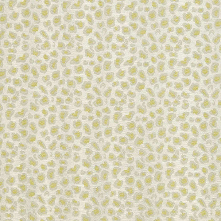 CB700-310 by Charlotte Designer Fabric Shades of Spring 100% Woven Polyester Asia Exceeds 120,000 Wyzenbeek Rubs (Heavy Duty) </p><p>Repeat: Horizontal: 3.5" x Vertical: 3.5" 54 Inches - Swanky Fabrics -