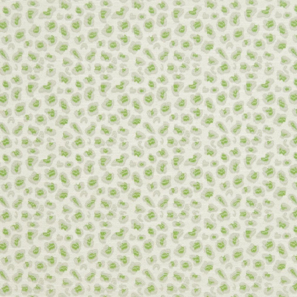 CB700-311 by Charlotte Designer Fabric Shades of Spring 100% Woven Polyester Asia Exceeds 120,000 Wyzenbeek Rubs (Heavy Duty) </p><p>Repeat: Horizontal: 3.5" x Vertical: 3.5" 54 Inches - Swanky Fabrics -