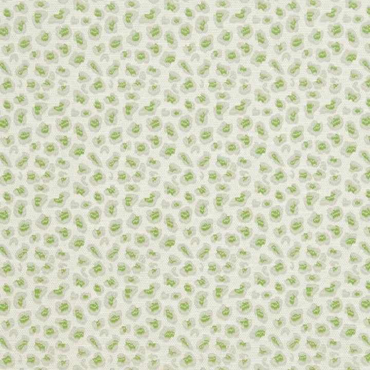 CB700-311 by Charlotte Designer Fabric Shades of Spring 100% Woven Polyester Asia Exceeds 120,000 Wyzenbeek Rubs (Heavy Duty) Horizontal 3.5" x Vertical 3.5" 54 Inches - Swanky Fabrics -