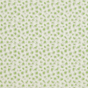 CB700-311 by Charlotte Designer Fabric