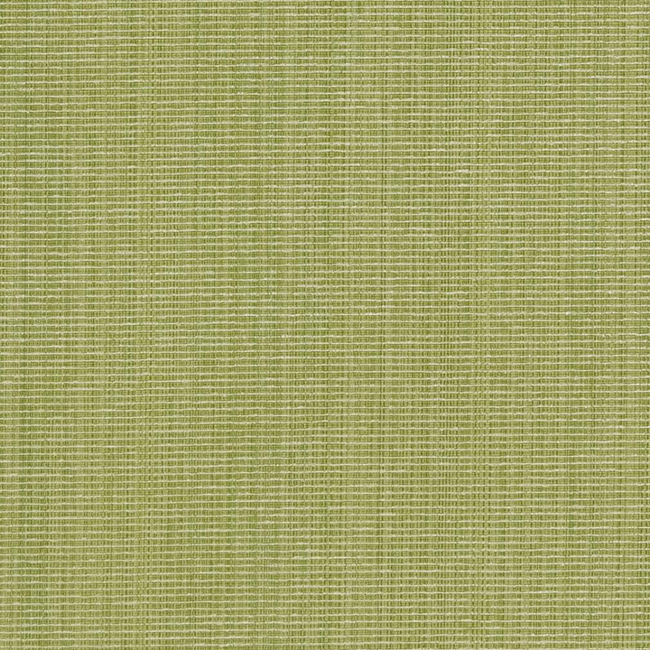 CB700-316 by Charlotte Designer Fabric Shades of Spring 51% Cotton, 30% Polyester, 19% Rayon Asia Exceeds 120,000 Wyzenbeek Rubs (Heavy Duty) No Repeat 54 Inches - Swanky Fabrics -