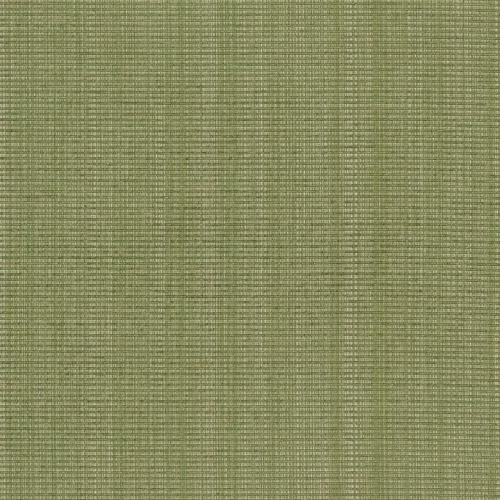 CB700-317 by Charlotte Designer Fabric Shades of Spring 51% Cotton, 30% Polyester, 19% Rayon Asia Exceeds 120,000 Wyzenbeek Rubs (Heavy Duty) No Repeat 54 Inches - Swanky Fabrics -