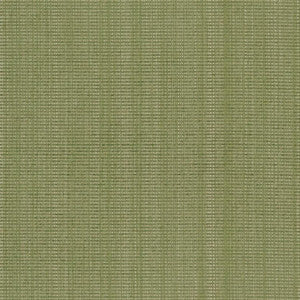 CB700-317 by Charlotte Designer Fabric