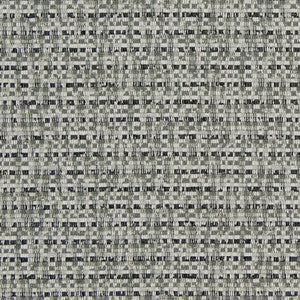 CB700-318 by Charlotte Designer Fabric