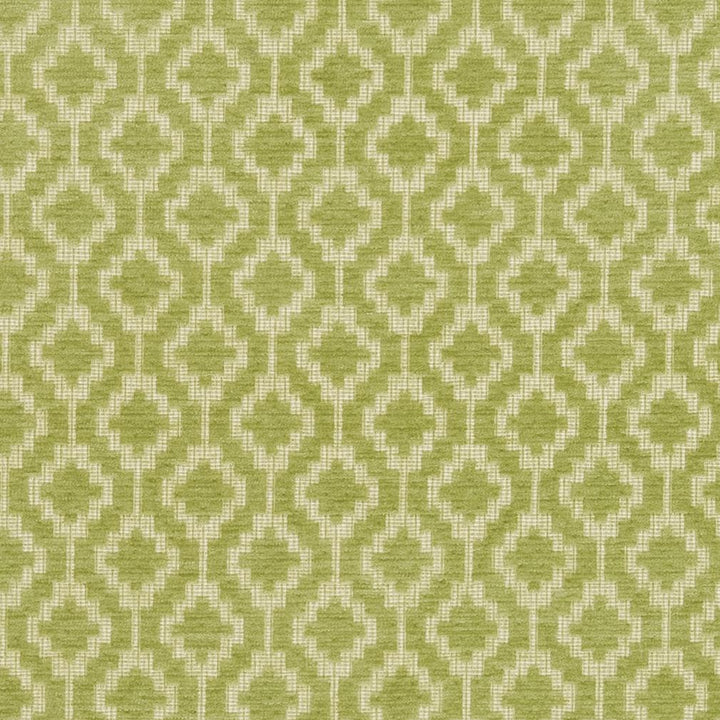 CB700-331 by Charlotte Designer Fabric Shades of Spring 100% Woven Polyester Asia Exceeds 90,000 Wyzenbeek Rubs (Heavy Duty) Horizontal 2" x Vertical 2" 54 Inches - Swanky Fabrics -