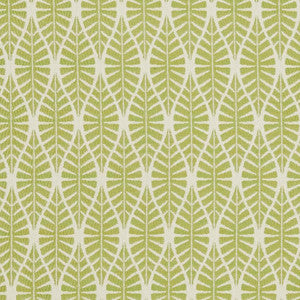 CB700-334 by Charlotte Designer Fabric