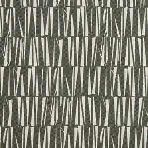 CB700-342 by Charlotte Designer Fabric