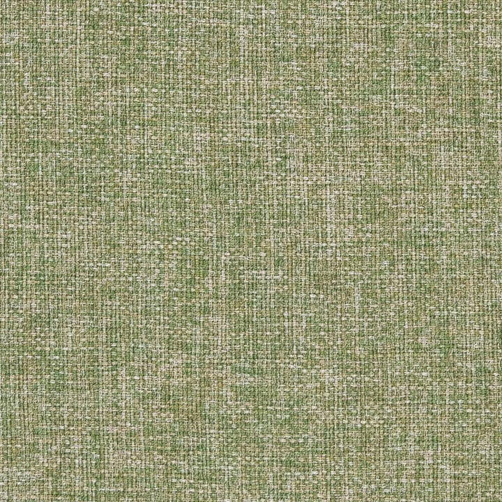 CB700-343 by Charlotte Designer Fabric Shades of Spring 100% Woven Polyester Asia Exceeds 140,000 Wyzenbeek Rubs (Heavy Duty) No Repeat 54 Inches - Swanky Fabrics -