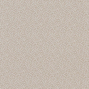 CB700-346 by Charlotte Designer Fabric